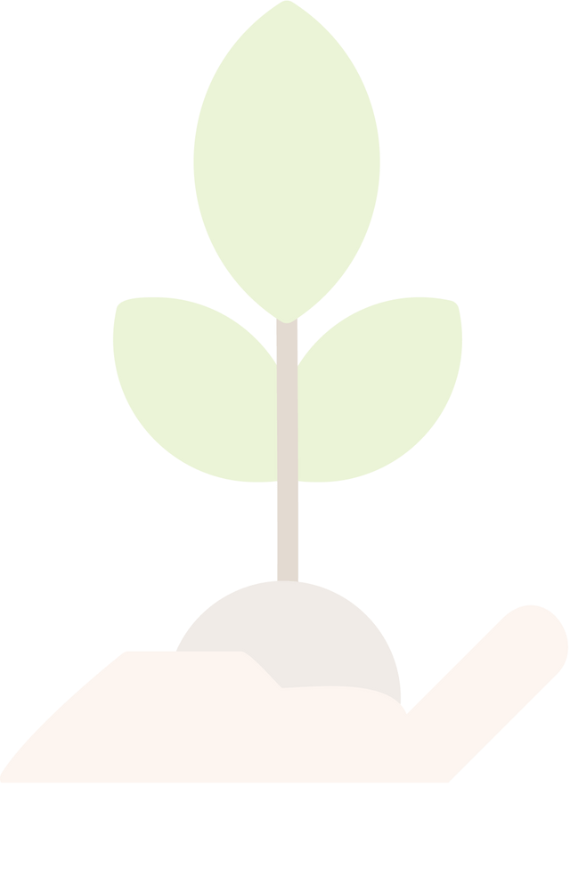 Seed Image